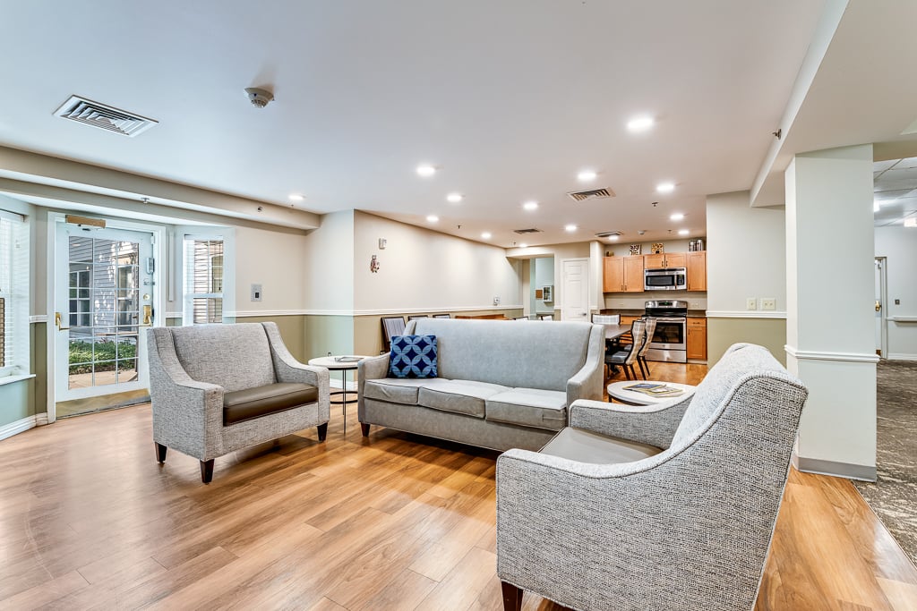 gray couches
